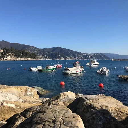 The Dolphin - Big With View In With Pool Rapallo