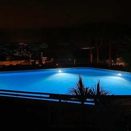 The Dolphin - Big With View In With Pool Rapallo