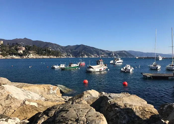 The Dolphin - Big With View In With Pool Rapallo